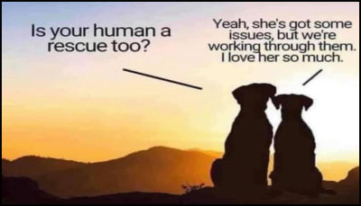 animals - is your human a rescue.jpg