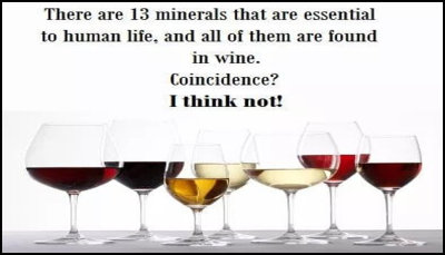 wine - there are 13 essential.jpg