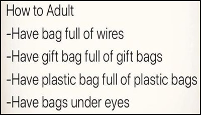adult - how to adult have bag.jpg