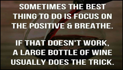 wine - sometimes the best thing to do.jpg