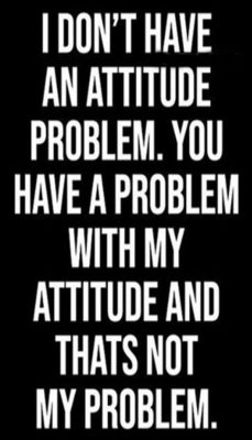 problem - v - I don't have an attitude problem.jpg