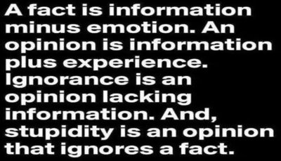 opinion - a fact is information.jpg