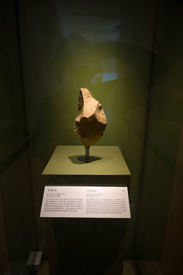 g12/94/11494/3/169361543.AUV3PAKH.jpg