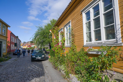 g12/94/11494/3/169640313.1hDMKdfp.jpg