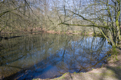 g12/94/11494/3/170559506.6c8ddiUi.jpg