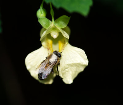 DSC_7791www.jpg