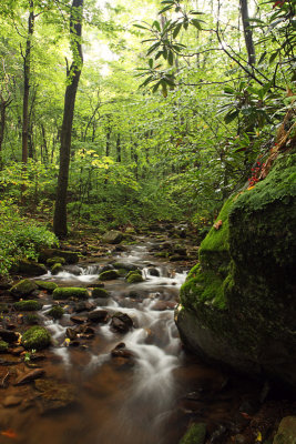 Roaring Run