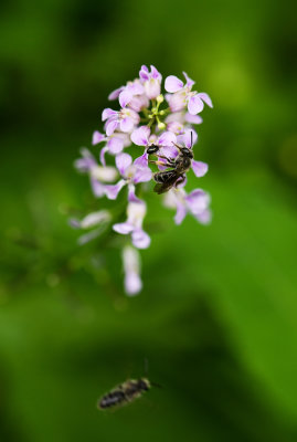169378198.rvuuWRqo.DSC_3468ff.jpg