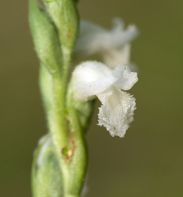 DSC_0122.jpg