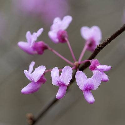 DSC_4697.jpg
