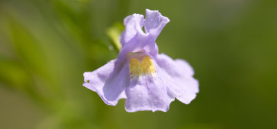 DSC_1638.JPG