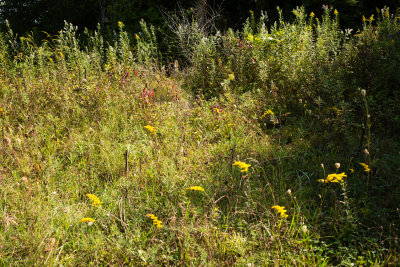 Crawford County - Pymatuning State Park