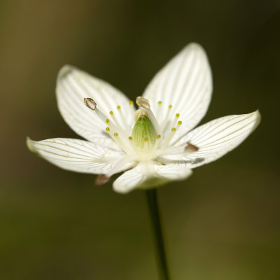 DSC_1926a.jpg
