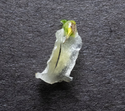 DSC_5822.jpg