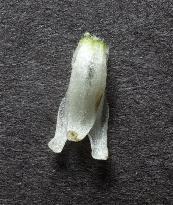 DSC_5857.jpg