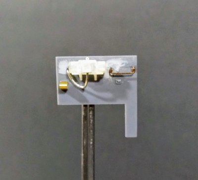 Nose side1.jpg