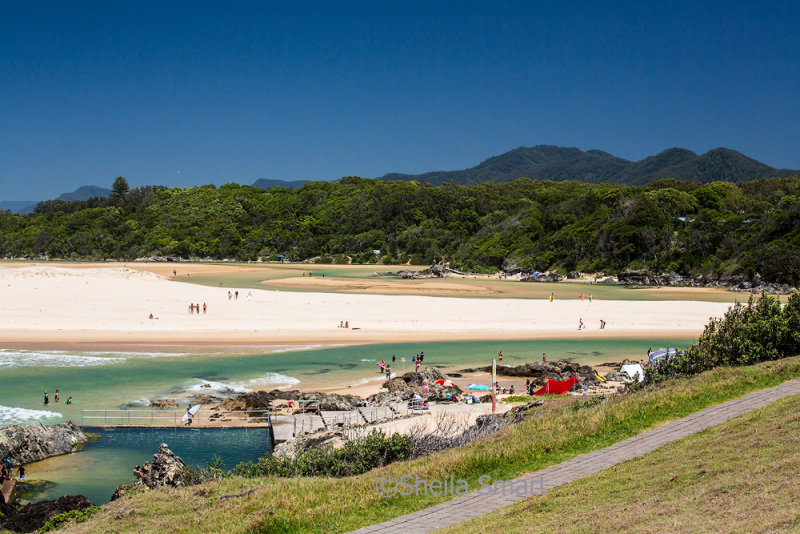 Sawtell Beach 