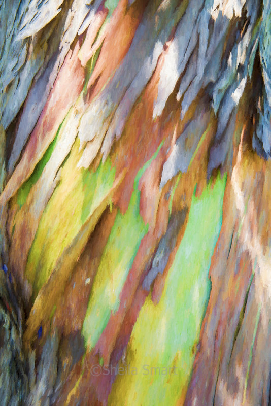 Bark painting