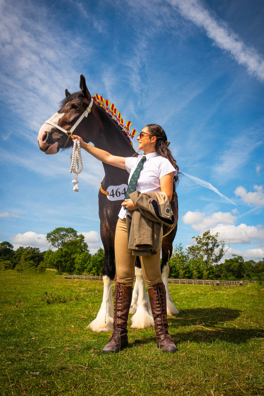 Derbyshire Shire Horse Show 2022