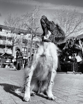 DSCF8494.jpg