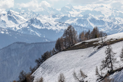 Pfyn-Finges Nature Park, Wallis, Switzerland