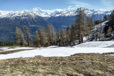 Pfyn-Finges Nature Park, Wallis, Switzerland