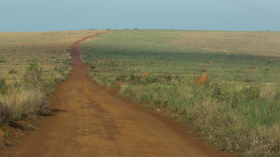 Serra da Canastra National Park, Minas Gerais, Brazil