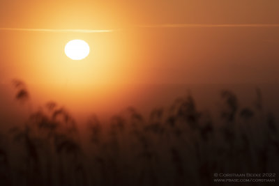 Zonsopkomst / Sunrise