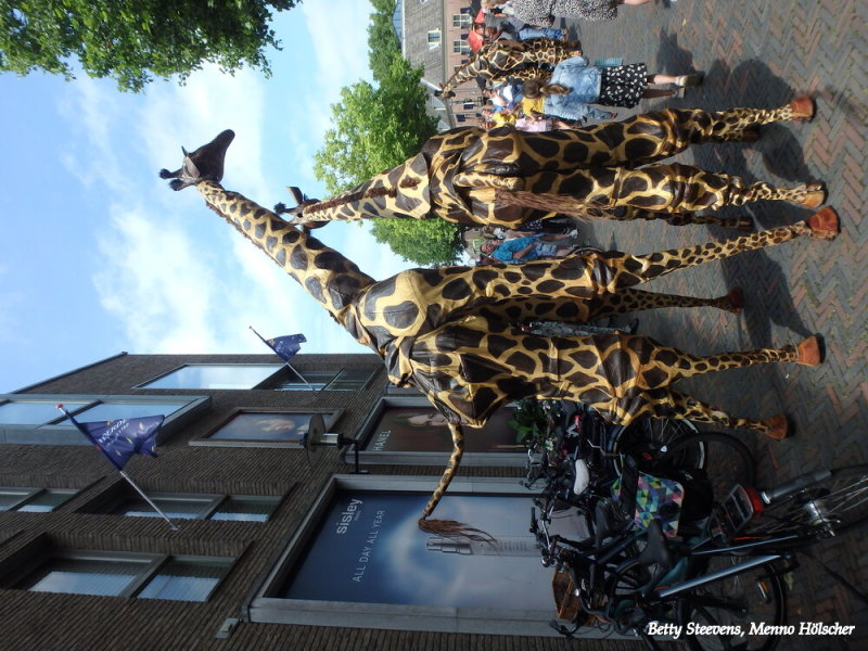 Giraffen - Teatro Pavana