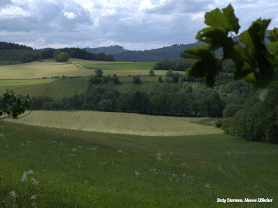 The landscape around Bruchhausen