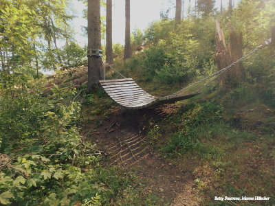 Resting place in the woods