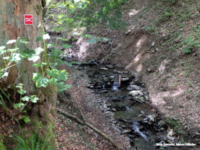 Winterberg - schlucht