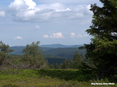 View from Kahler Asten