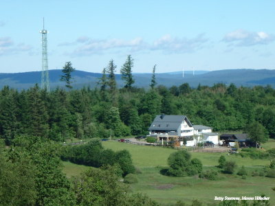Ginsberger Heide
