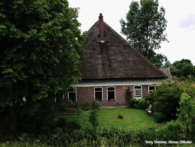 Farm from North Holland
