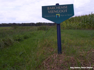 Barchemse Veengoot