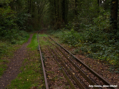 Spoor - railway tracks
