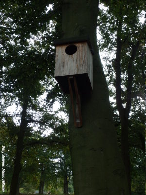 Uilenkast - Owls nest box