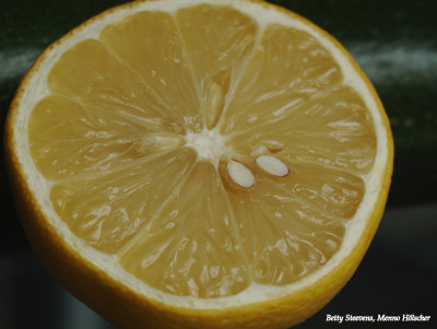 Citroen - Lemon