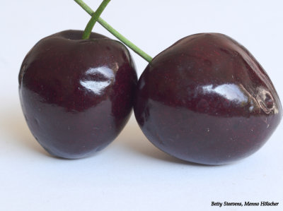 Kersen - Cherries