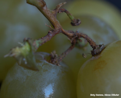 Druiven - Grapes