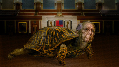 Mitch-the-Reptile.jpg