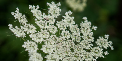 DSC02635_2_Sn_web.jpg