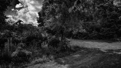 DSC02599_3b-BW_web.jpg