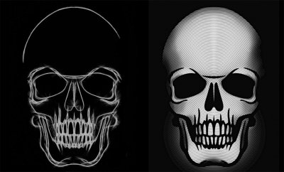 Human Skull_variations on a theme_web.jpg
