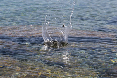 Mark Collard - Water 08