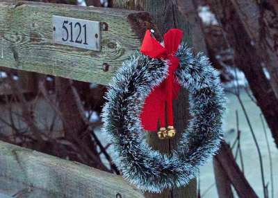 Don Campbell - Christmas Lights 01