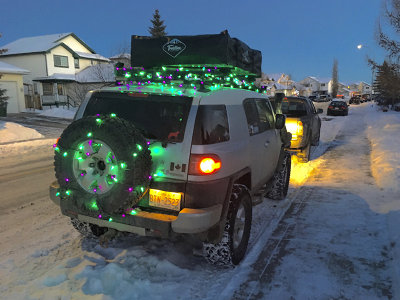 Mark Collard - Christmas Lights 01