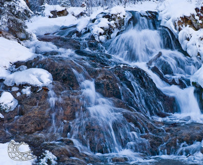 Dale Walde - Frozen 01