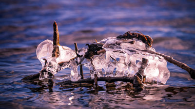 Ronald J. Da Roza - Frozen 01